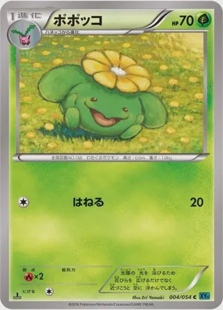 Skiploom