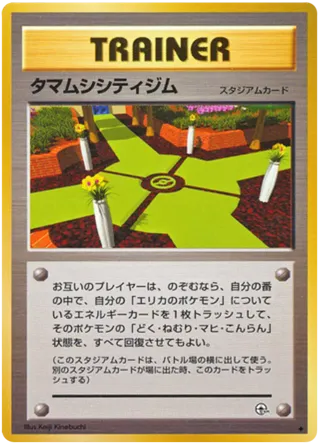 Celadon City Gym