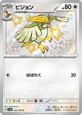 Pidgeotto - 305/190