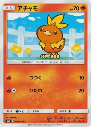 Torchic - 016/096