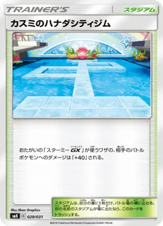 Misty's Cerulean City Gym