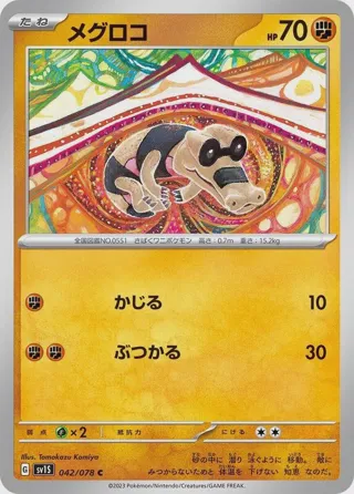 Sandile - 042/078