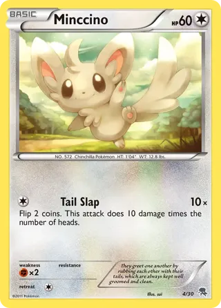 Minccino (#4)