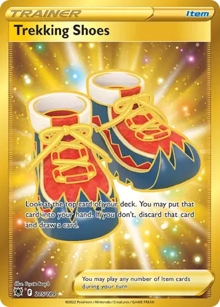 Trekking Shoes (Secret)