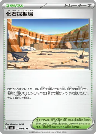 Fossil Excavation Site