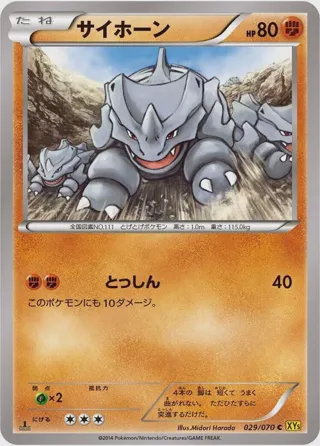 Rhyhorn - 029/070