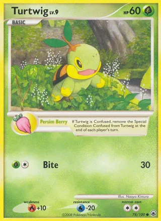 Turtwig (78)
