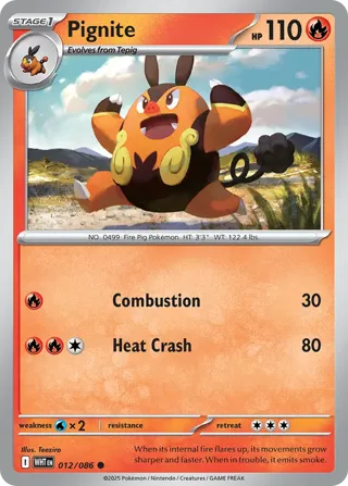 Pignite (Master Ball Pattern)