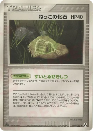 Root Fossil