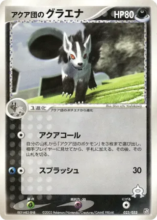 Team Aqua's Mightyena