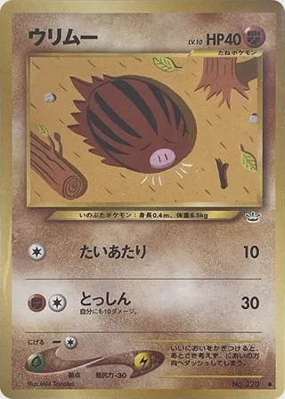 Swinub