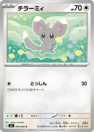 Minccino