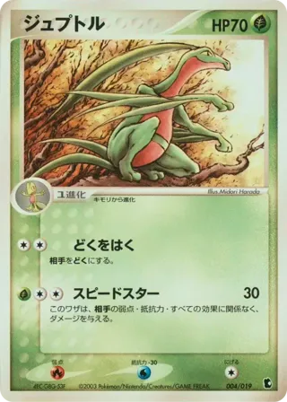 Grovyle - 004/019