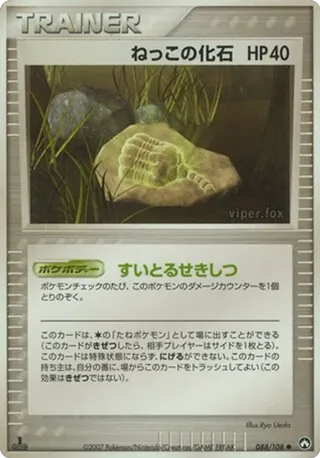Root Fossil