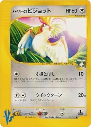 Falkner's Pidgeot
