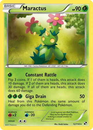 Maractus (12)