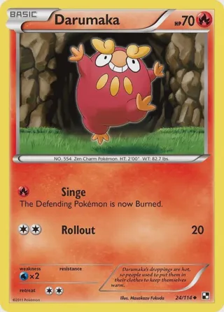 Darumaka (24)