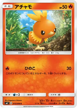 Torchic - 015/096