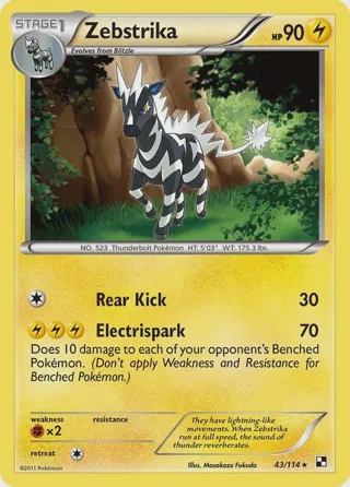 Zebstrika (43)