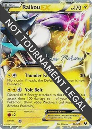 Raikou EX - 2012 (Chase Moloney)
