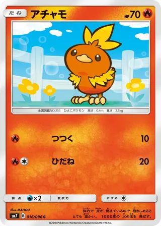 Torchic - 016/096