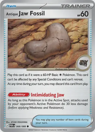 Antique Jaw Fossil
