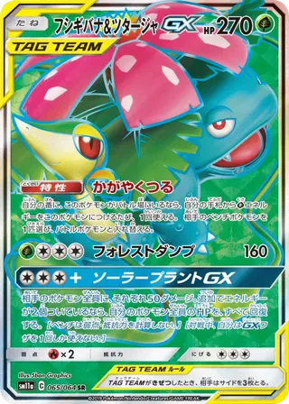 Venusaur & Snivy GX