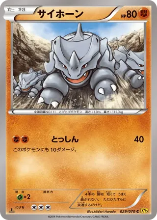 Rhyhorn - 029/070