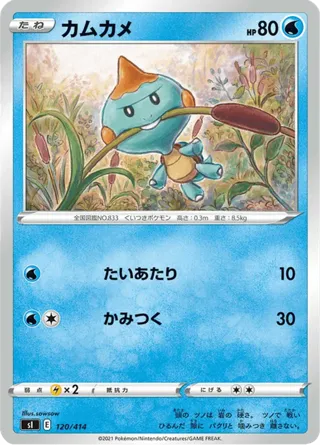 Chewtle (Mirror Holofoil)