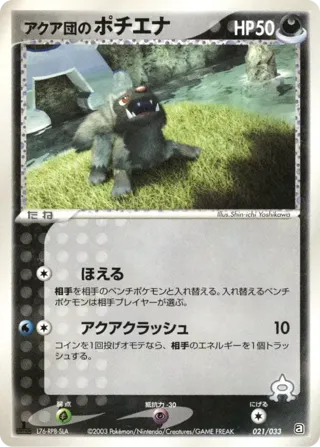 Team Aqua's Poochyena - 021/033