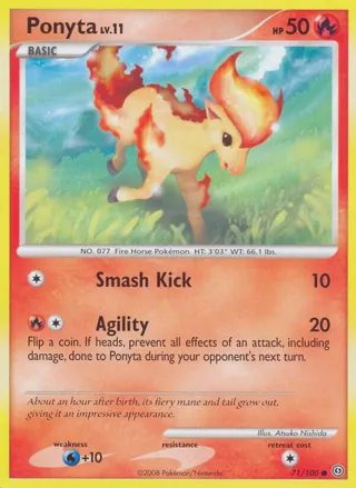 Ponyta