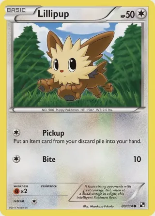 Lillipup (80)