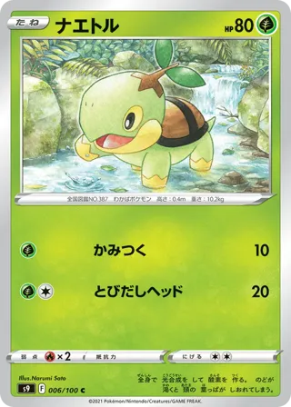 Turtwig
