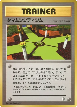 Celadon City Gym