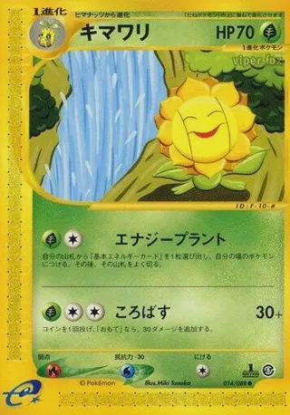 Sunflora