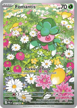 Fomantis - 085/084