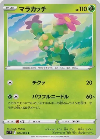 Maractus