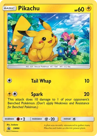 Pikachu (Build-A-Bear Workshop Exclusive)