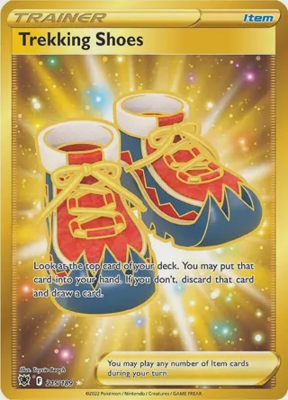 Trekking Shoes (Secret)