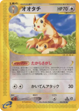 Furret
