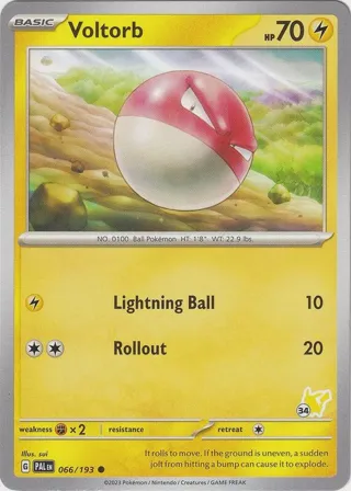 Voltorb - Pikachu 34