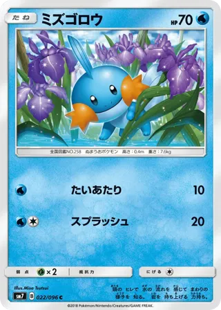 Mudkip - 022/096