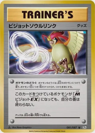 Pidgeot Spirit Link