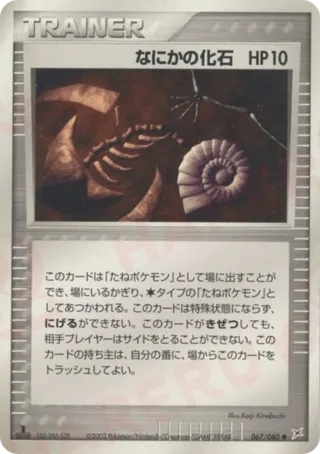 Mysterious Fossil