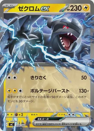 Zekrom ex