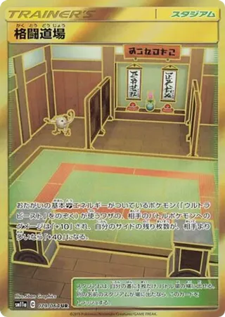 Martial Arts Dojo