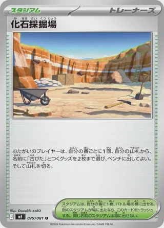Fossil Excavation Site