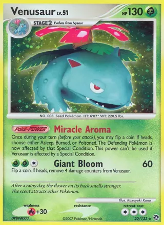 Venusaur (Secret Wonders)