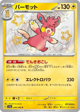 Pawmot - 249/190