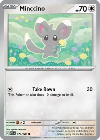 Minccino